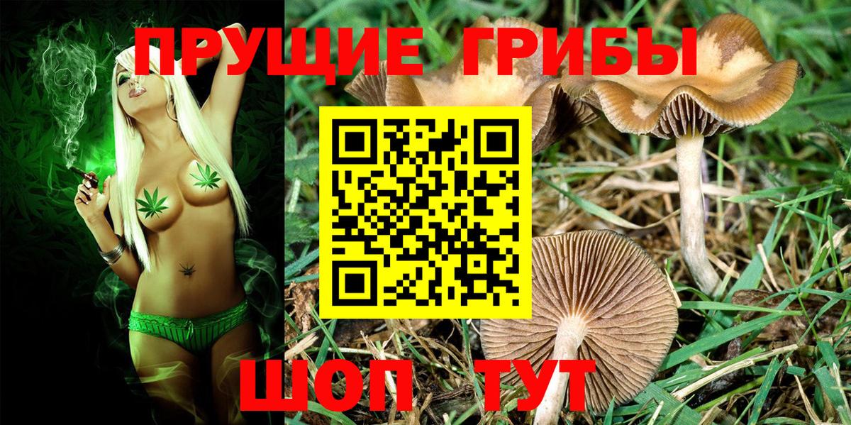 Псилоцибиновые грибы Psilocybe  Галлюциногенные грибы Psilocybe  Вход с VPN  Менделеевск 